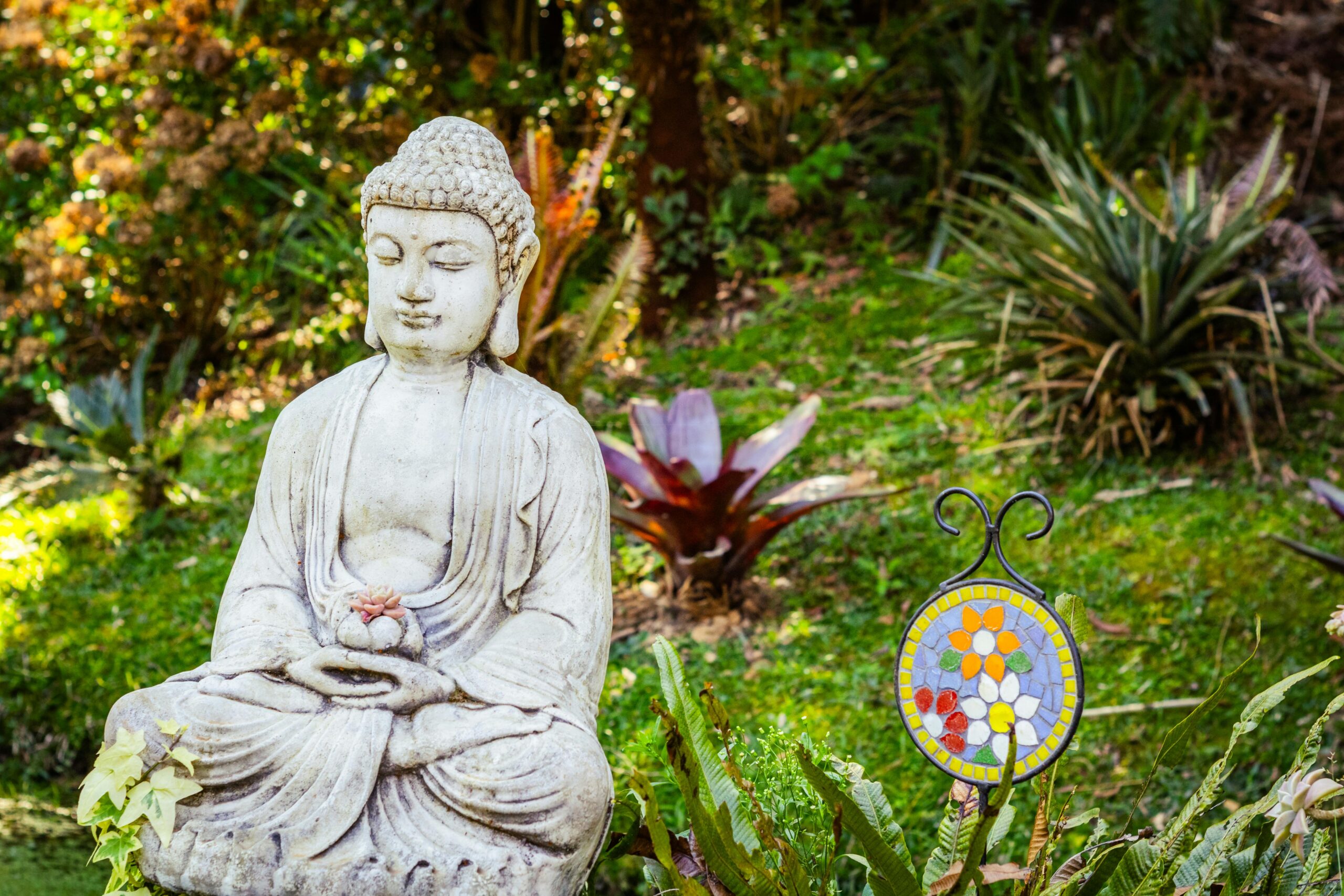 A tranquil Buddha statue surrounded by lush greenery and vibrant plants in a serene garden.